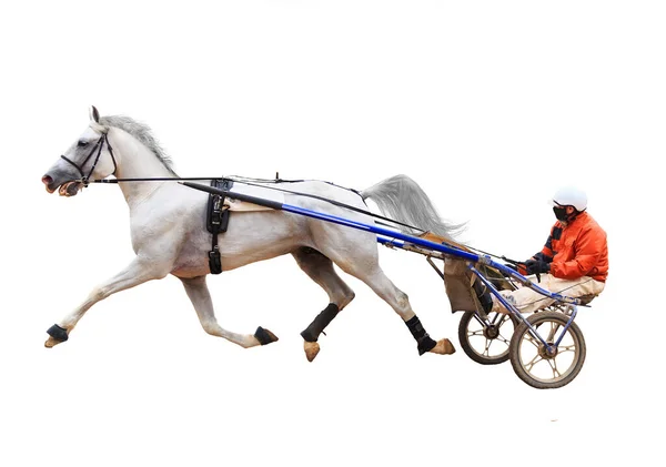 Hästkapplöpning Med Jockeys Racerrack Hingstar Ras Den Första Vinnaren Loppet — Stockfoto