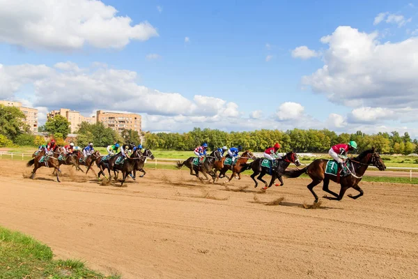 Hästkapplöpning Med Jockeylopp Solig Sommardag Hingstar Ras Den Första Vinnaren — Stockfoto