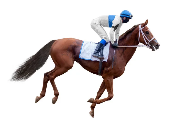 Paard Jockey Sprong Geïsoleerd Witte Achtergrond Van Rennende Paarden — Stockfoto