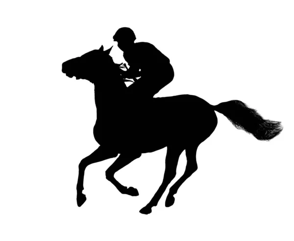 Cavallo Fantino Corsa Nero Silhouette Isolato Sfondo Bianco — Foto Stock