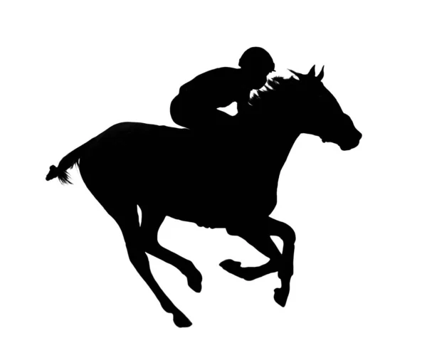 Cavalo Jockey Corrida Silhueta Preta Isolado Fundo Branco — Fotografia de Stock