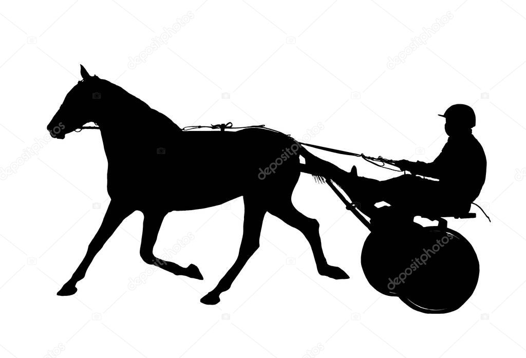 Horse jockey racing black silhouette isolated on white background