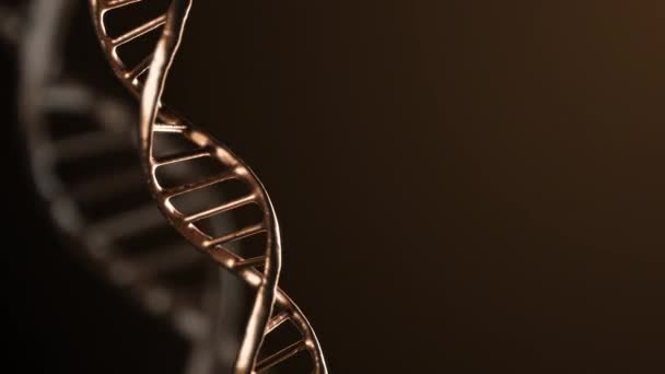 Abstract metallisch glanzend gouden DNA dubbele helix met draaiende velddiepte. Mysterieuze wetenschappelijke animatie. Genom futuristische beelden. Conceptueel ontwerp van genetica-informatie. 4k UHD. — Stockvideo