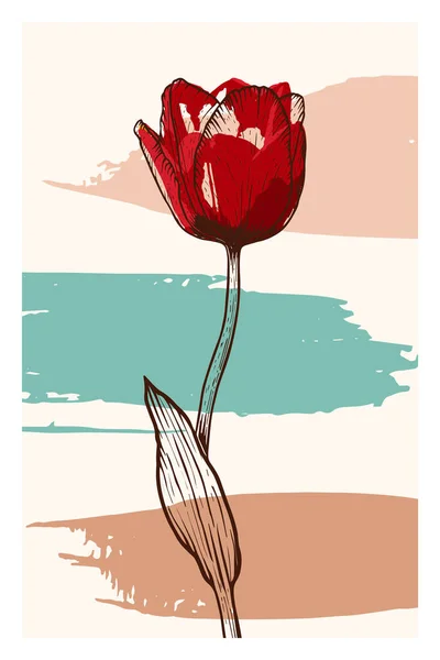 带有色彩花纹的郁金香花的抽象线条艺术.郁金香轮廓画。小花插画. — 图库矢量图片