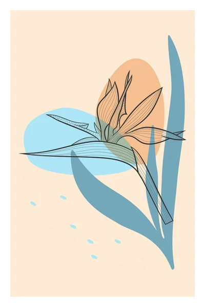 Art abstrait de ligne de fleur tropicale avec des éclats de couleur. Dessin de contour Strelitzia. Illustration florale minimale. — Image vectorielle