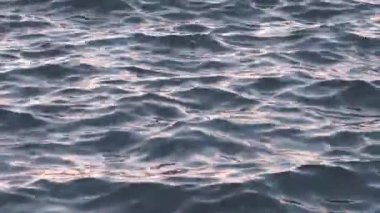 Döngülü su dalgalı yüzey. Deniz yüzeyindeki dalga hareketinin animasyonu.