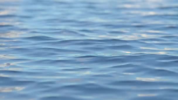 Lazo de agua tranquila superficie ondulada. Animación del movimiento de las olas en la superficie del mar. — Vídeos de Stock