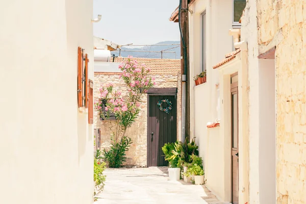 Rue étroite ensoleillée dans le vieux village Omodos sur Chypre. Murs en pierre et plantes vertes vibrantes par une journée ensoleillée. — Photo