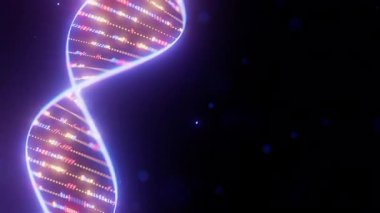 Veri akışı döngüsü animasyonlu soyut Dijital DNA Çift sarmalı. Biyoteknoloji yapay zekası ya da kuantum bilgisayarı tıbbi bilimler konsepti. Gelecekçi genetik araştırma