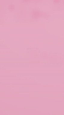 Pembe Gül Yaprakları etrafta uçar ve kalp şeklini oluşturur. Sevgililer Günü konsepti. 3B canlandırma canlandırması.