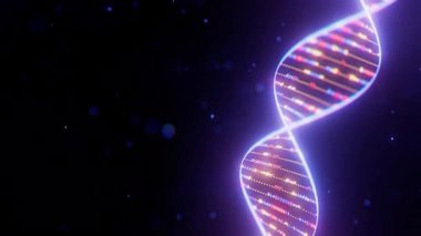 Veri akışı döngüsü animasyonlu soyut Dijital DNA Çift sarmalı. Biyoteknoloji yapay zekası ya da kuantum bilgisayarı tıbbi bilimler konsepti. Gelecekçi genetik araştırma