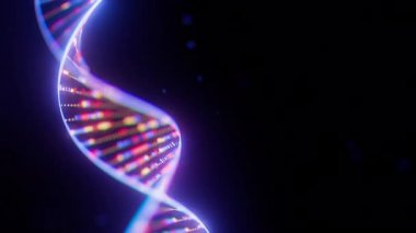 Veri akışı döngüsü animasyonlu soyut Dijital DNA Çift sarmalı. Biyoteknoloji yapay zekası ya da kuantum bilgisayarı tıbbi bilimler konsepti. Gelecekçi genetik araştırma