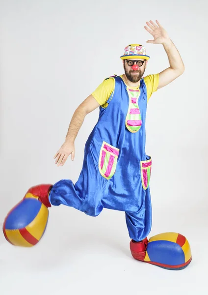 Концепція Свята Клоун Чоловік Яскраво Синьо Жовтому Костюмі Окулярах Капелюсі — стокове фото