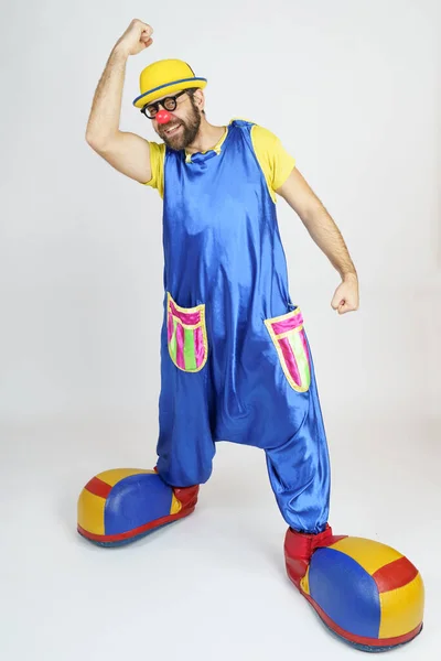 Holiday Concept Clown Bright Blue Yellow Suit Shows His Muscles — Stock Photo, Image