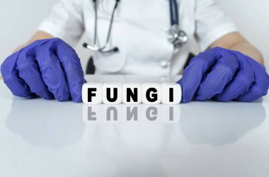 Tıp ve sağlık konsepti. Doktor, FUNGI küplerinden bir kelime topladı.