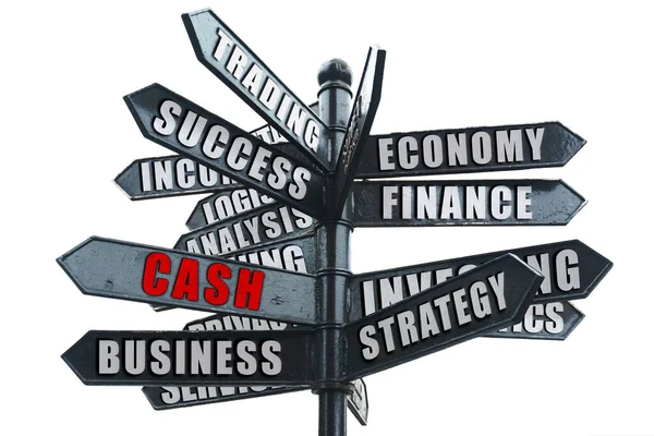商业和金融概念 商务路标上 其中一个箭头上的题字是红色的 Cash — 图库照片