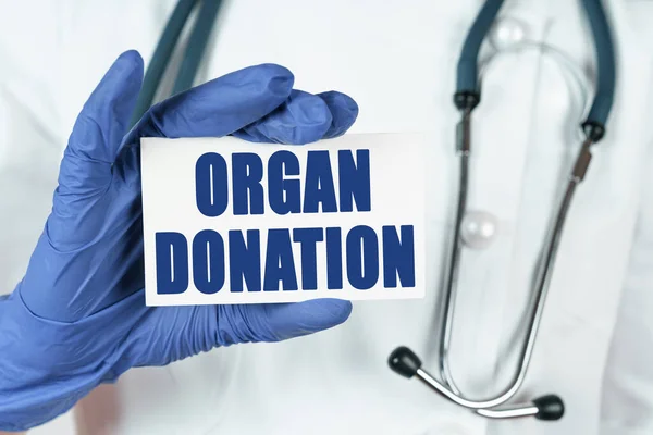 Medicine concept. The doctor holds a business card that says - ORGAN DONATION