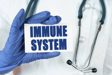 Tıp konsepti. Doktorun elinde 