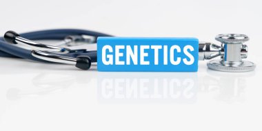 Tıp ve sağlık konsepti. Beyaz yansıtıcı yüzeyde bir stetoskop ve üzerinde GENETICS yazılı mavi bir Jenga bulunur.