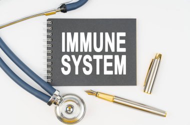 İlaç ve sağlık. Beyaz arka planda bir steteskop, bir kalem ve üzerinde IMMUNE SİSTEM yazılı bir defter bulunur.
