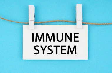 Tıp ve sağlık konsepti. Mavi bir arkaplanda, beyaz bir plaket yazılı olan IMMUNE SİSTEM halatına asılı.