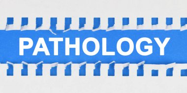 Tıp ve sağlık konsepti. Mavi arkaplandaki bir defterin iki sayfası arasındaki yazı - PathoLOGY
