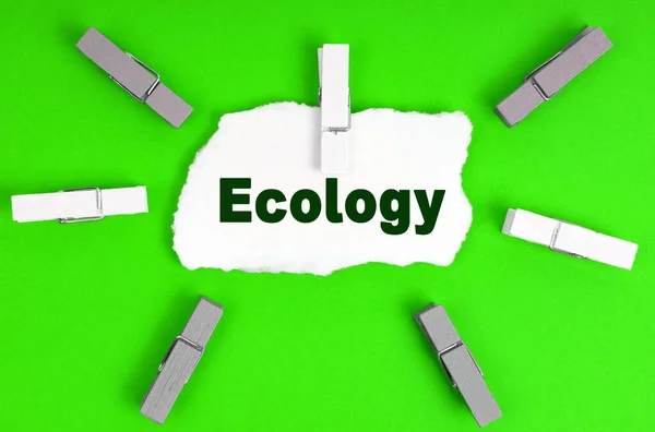 Ökológia Ruhaszárítók Egy Papírlap Felirattal Ökológia — Stock Fotó