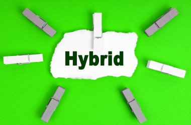 Ekoloji konsepti. Mandallar ve üzerinde yazılar olan bir sayfa kağıt...