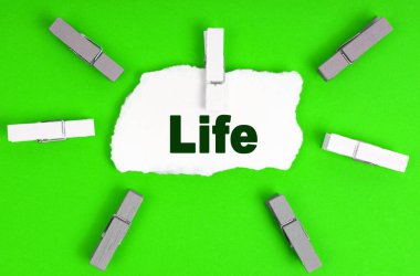 Ekoloji konsepti. Mandallar ve üzerinde 