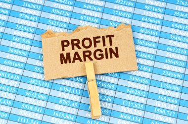 İş ve finans kavramı. Finansal tabloların üzerinde PROFIT MARGIN yazılı karton var.