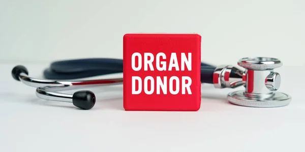 Концепция Медицины Здоровья Столе Стетоскоп Красный Куб Надписью Organ Donor — стоковое фото