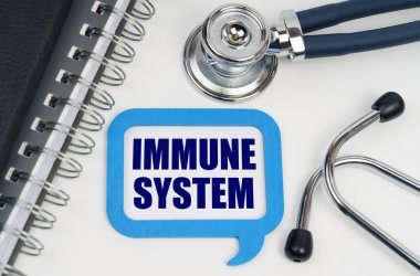 Tıp ve sağlık konsepti. Masanın üzerinde bir stetoskop, bir günlük ve yazılı bir tabela var - IMMUNE SİSTEM