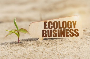 İş konsepti. Filizlerin yanında üzerinde 