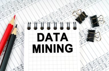 Ekonomi ve iş kavramı. Masanın üzerinde raporlar, kalemler ve üzerinde DATA MINING yazan bir defter var.