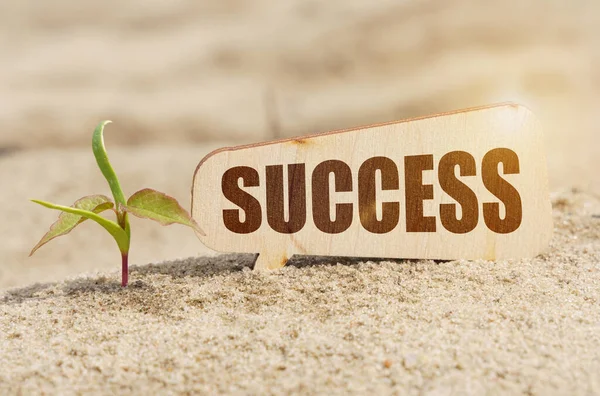 Business Concept Sprout Plate Inscription Success — Stockfoto