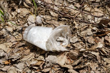 Ekoloji konsepti. Kırışmış plastik bir bardak yerde yatıyor.