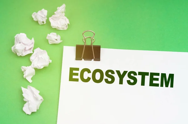 Ecologisch Concept Een Groene Achtergrond Verfrommeld Papier Een Vel Met — Stockfoto