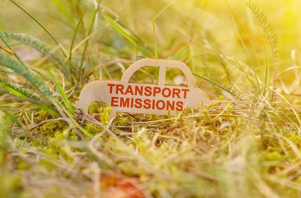 Ecology Transportation Concept Wooden Car Grass Says Transport Emission — Stock Photo, Image