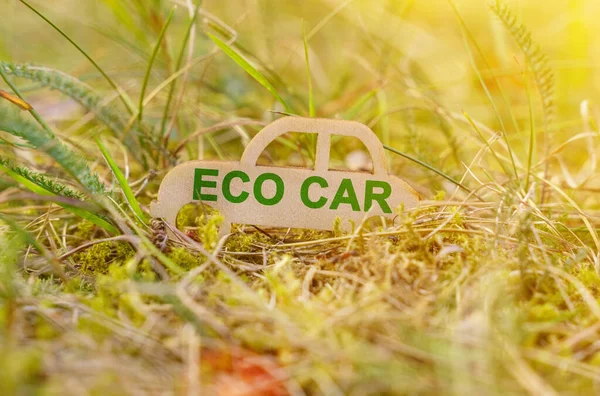 Ecology Transportation Concept Wooden Car Grass Says Eco Car — Stock Photo, Image