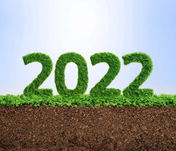 2022 사업의 성장에 해입니다 2022 형으로 자라고 — 스톡 사진