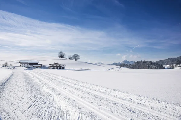 Skitrack toz karda — Stok fotoğraf
