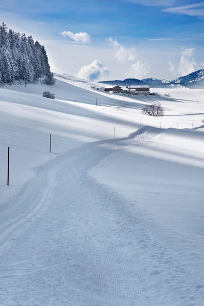 Skitrack in powder snow — Stock Photo, Image