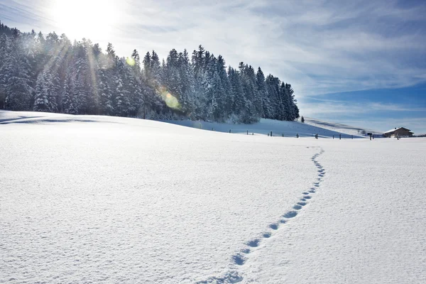 Footprints on snowy hill — Stock Photo, Image