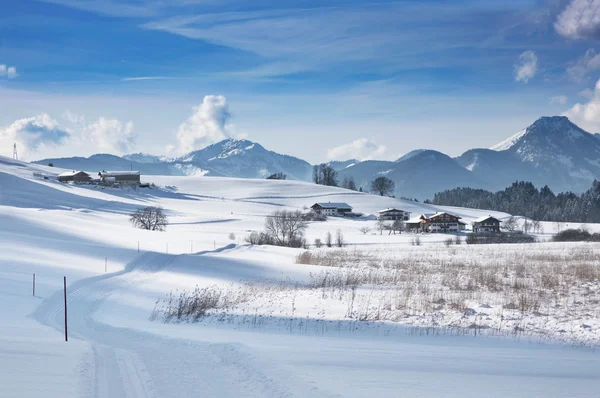 Skitrack toz karda — Stok fotoğraf