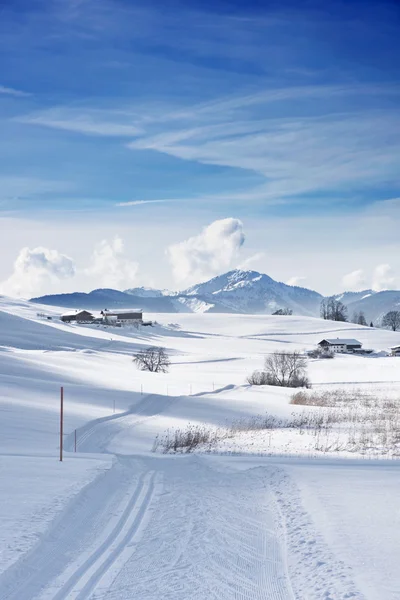 Skitrack in powder snow — Stock Photo, Image