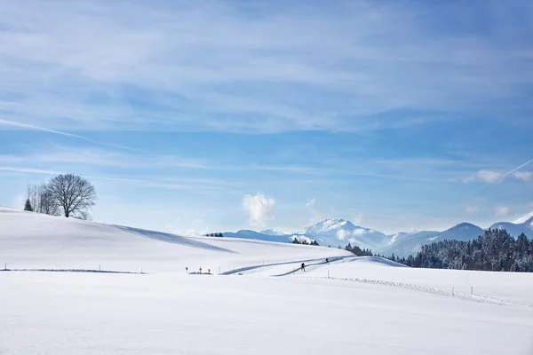 Skitrack toz karda — Stok fotoğraf