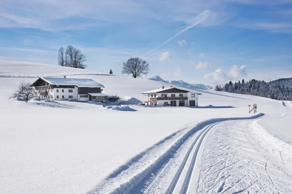 Skitrack in poeder sneeuw Stockfoto