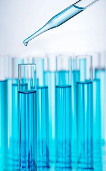 Test tubes and pipette — Stock Photo, Image