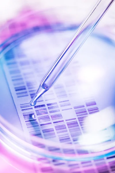 Genetic research — Stock Photo, Image