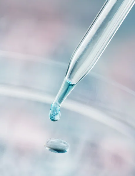 Close up of liquid in pipette — Stock Photo, Image